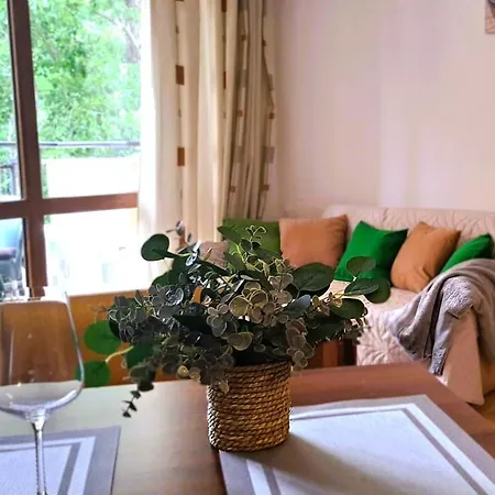 Patrick's - Sunny Apartment